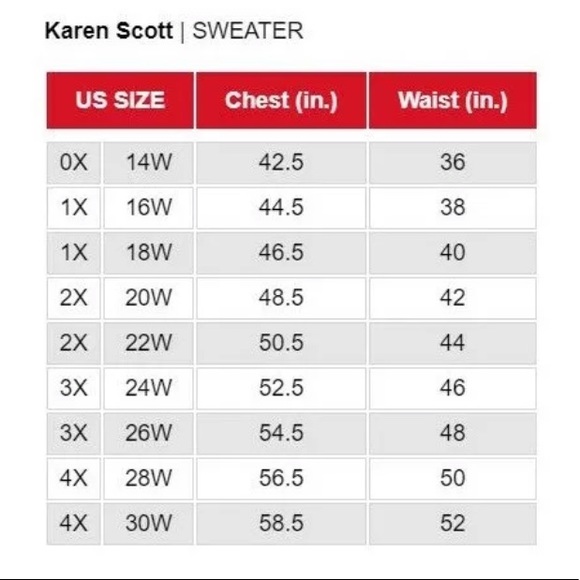 💕 NWT Gray Rhinestone Embellished Sweater Scarf Set - Picture 3 of 11